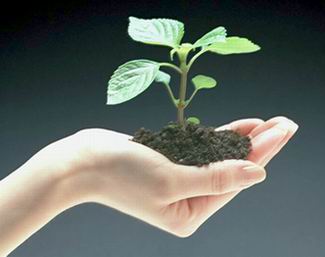 Feed & Fertilizer Industry