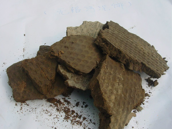 Municipal Sewage & Sludge Indu